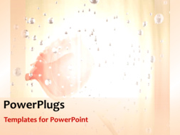 PowerPoint Template - Flowers Background